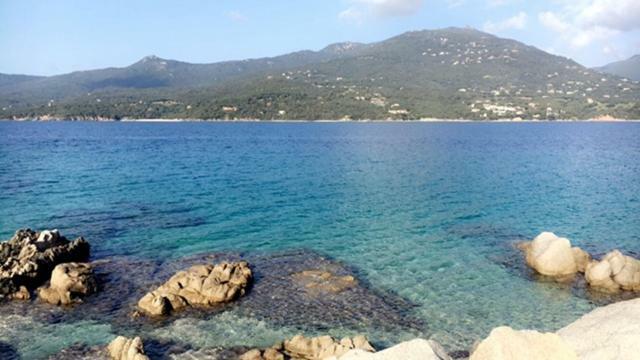 Magnifique Appartement Devant La Plage 普罗普里亚诺 外观 照片