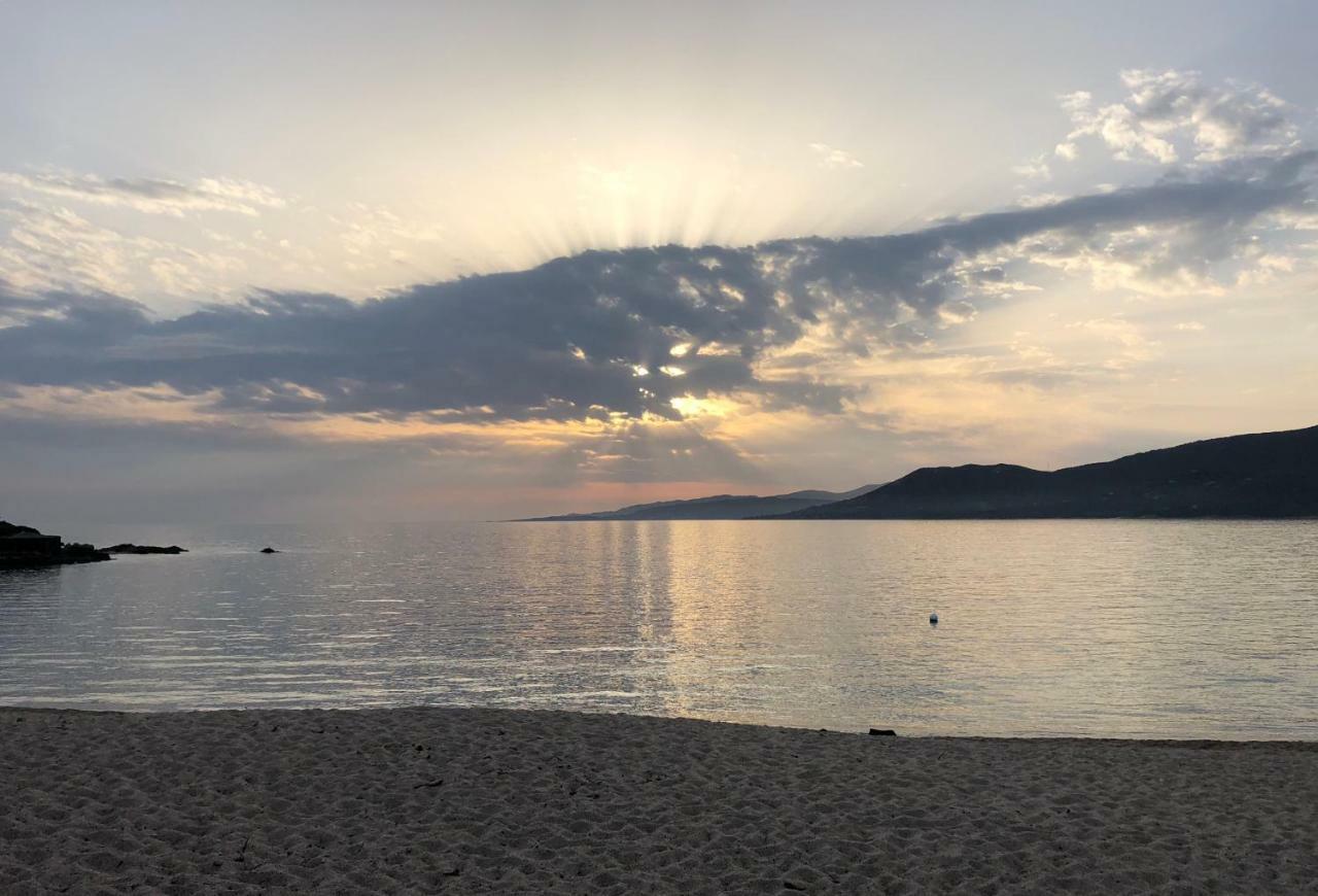 Magnifique Appartement Devant La Plage 普罗普里亚诺 外观 照片