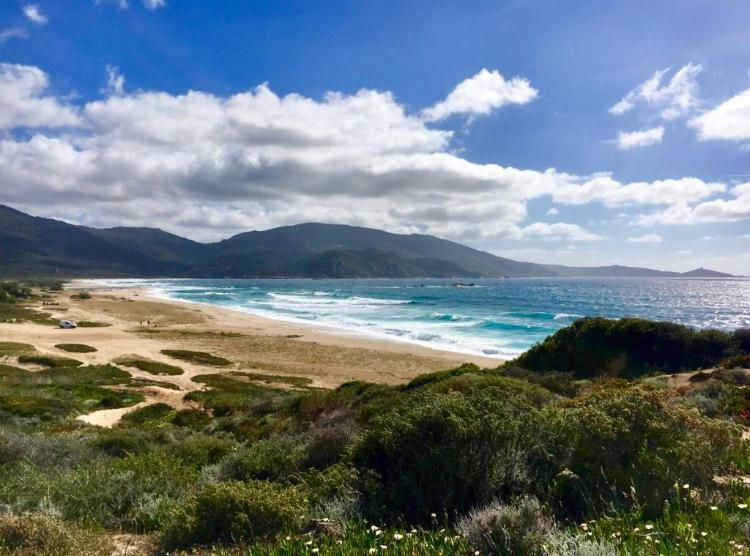 Magnifique Appartement Devant La Plage 普罗普里亚诺 外观 照片